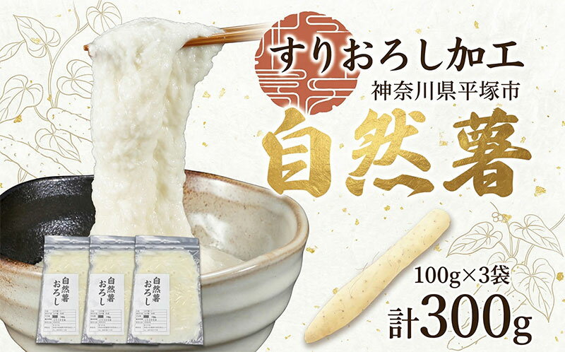 【ふるさと納税】自然薯 冷凍自然薯（すりおろし加工済） じねんじょ養強壮 化粧箱 神奈川県 平塚市　お届け：2025年11月～2026年7月中旬まで