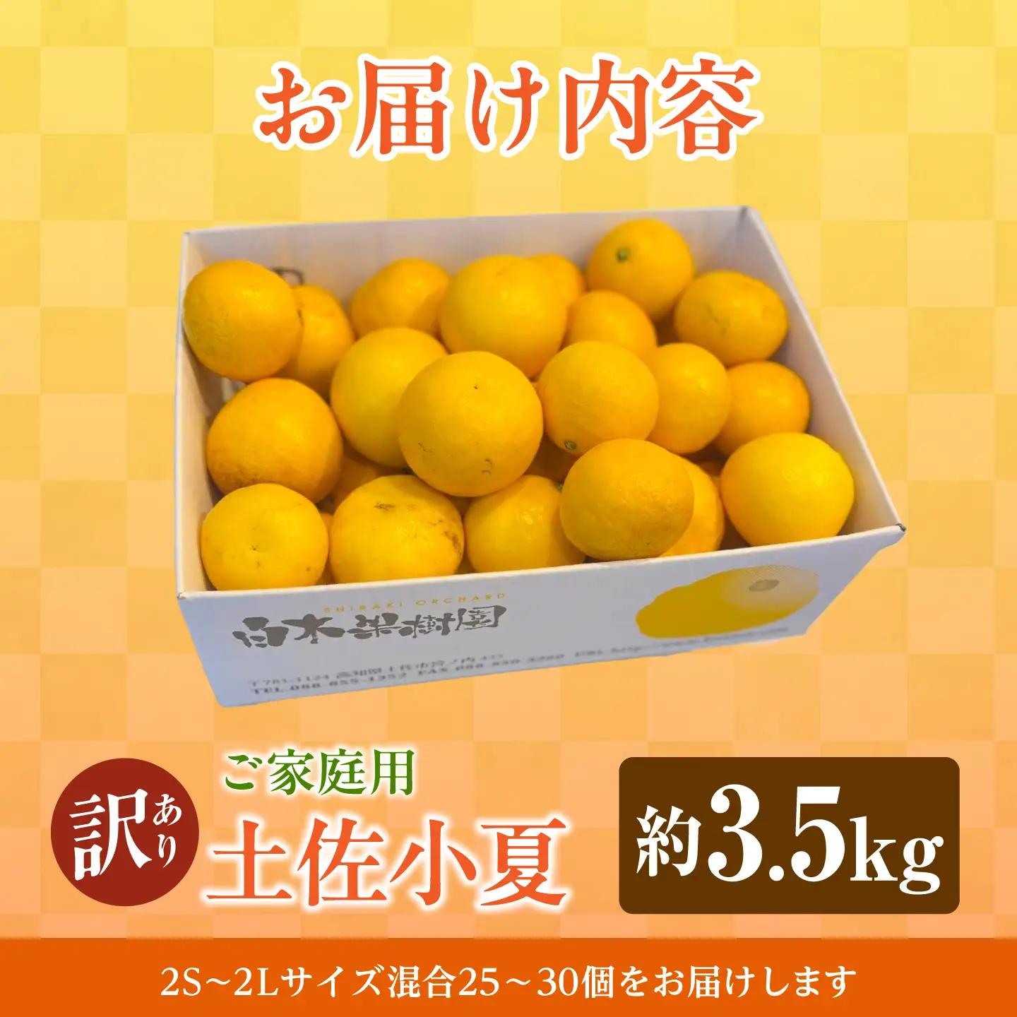 【先行予約】【訳あり】 土佐小夏 ご家庭用 約3.5kg〈2027年5月下旬-2027年6月下旬頃発送〉 高知県土佐市 【株式会社SHIRAKI】 [BQAI033]