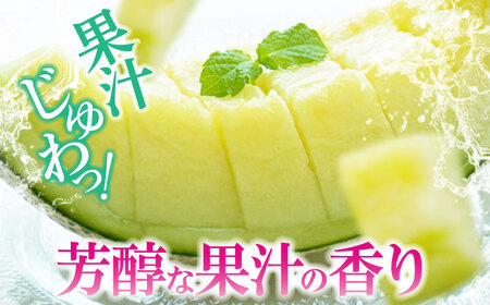 【先行予約】【2025年6月中旬から順次発送】　メロン タカミ 2から3玉 愛媛県大洲市/梶原農園 メロン[AGCX004]