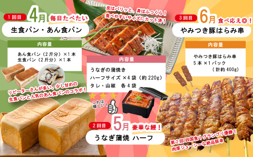 【 年末限定 】 8回 定期便 四万十 人気グルメ お楽しみ定期便 しまんと ふるさと定期便 10万円 Aコース 今だけ 鰻 牛肉 鶏肉 豚肉 パン 魚 タタキ 鰹 カツオ みかん 柑橘 フルーツ ケ