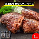 【ふるさと納税】氷温®熟成【大山物語】鳥取和牛100％手造りハンバーグ 100g×6【24-012-009】ホクニチ お取り寄せ グルメ 和牛ハンバーグ ジューシー 肉汁 肉 加工品 惣菜 簡単調理 おかず 夕飯 時短 お手軽 ご当地 鳥取県 米子市