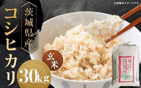 【令和7年産】茨城県産コシヒカリ 玄米 30kg お米 米 コメ こめ おこめ ごはん ご飯 コシヒカリ こしひかり 茨城県 守谷市