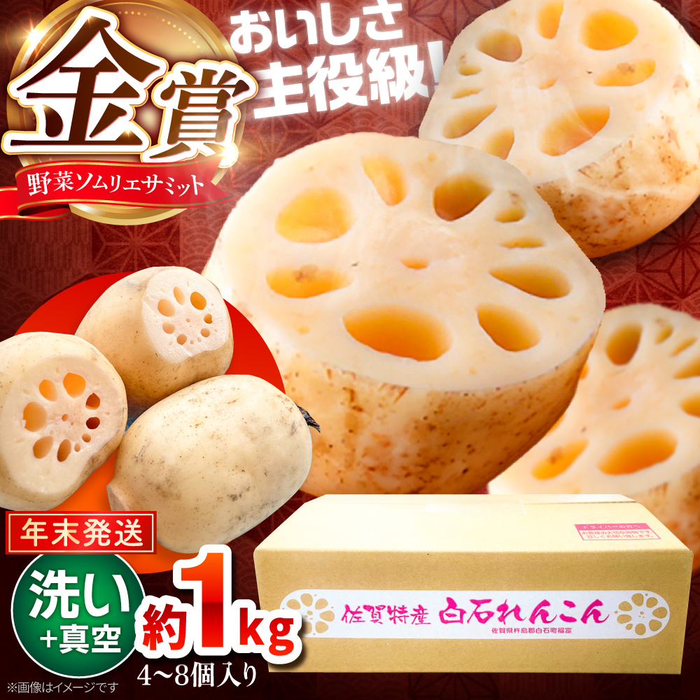 【年末発送】【先行予約】【真空れんこん】＜野菜ソムリエサミット金賞受賞＞松尾青果のこだわり白石れんこん 約1kg （4-8個入り）【松尾青果】 佐賀県産 農家直送 直送 白石れんこん レンコン 蓮根 根菜 野菜 白石町産 高品質 九州 佐賀県 白石町 [IBD018]