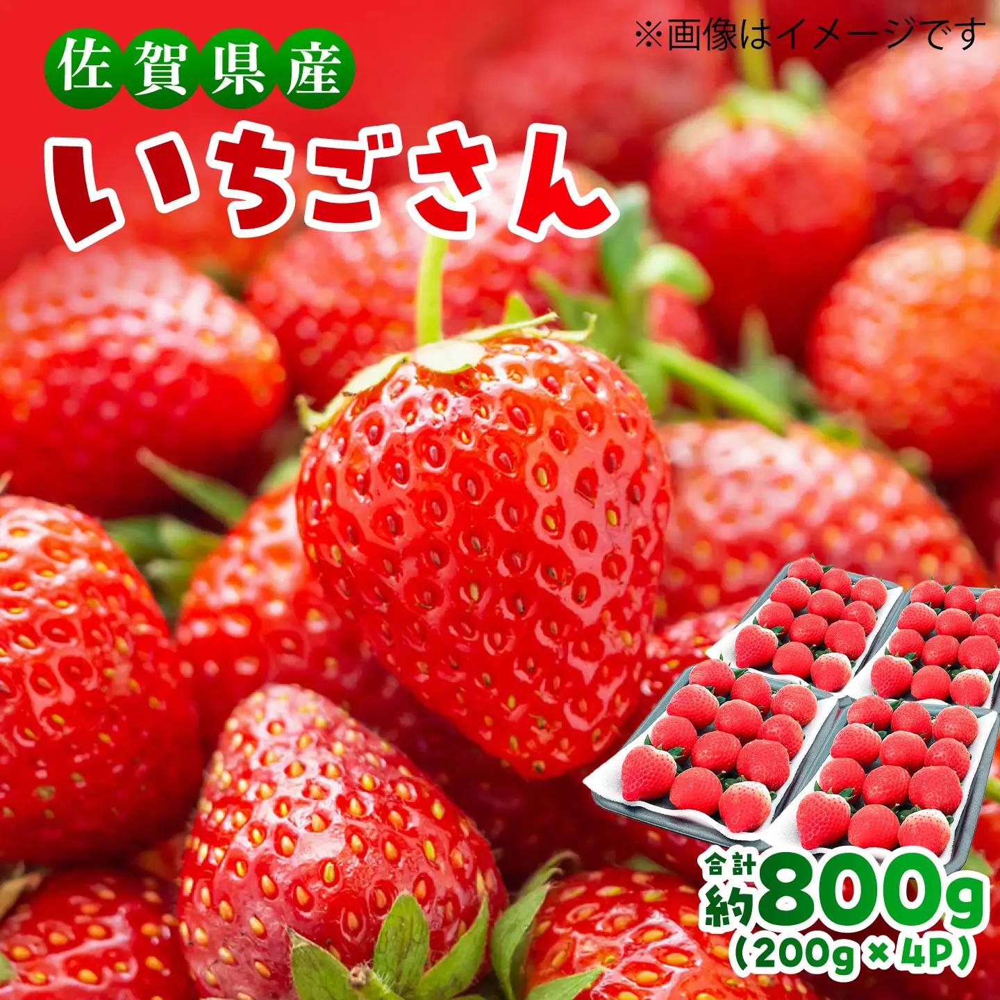 いちご 佐賀県産 いちごさん 約800g 12月～4月発送 [FDF001]
