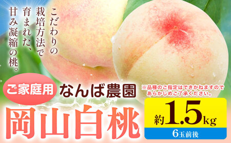 【2027年先行予約】桃 もも ご家庭用 岡山白桃 約1.5kg ( 6玉前後 ) 桃