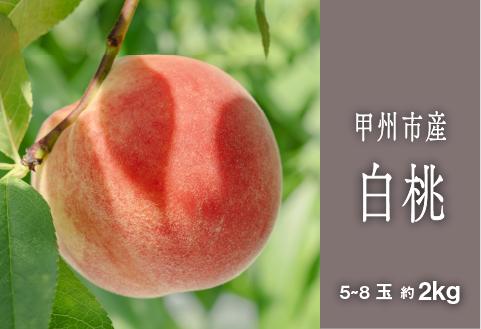 甲州市完熟白桃 『透明感ある甘さ広がる純白の果実』約2kg 5～8玉【2025年発送】（SHP）B15-458