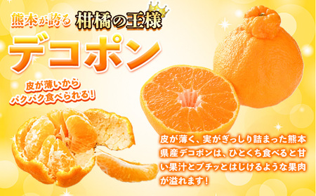 加温デコポン 約3.6kg(9‐18玉前後)《12月出荷予定(土日祝除く)》 柑橘 不知火 デコポン みかん フルーツ 果物 旬 ご家庭用 訳あり みかん 好き必見
