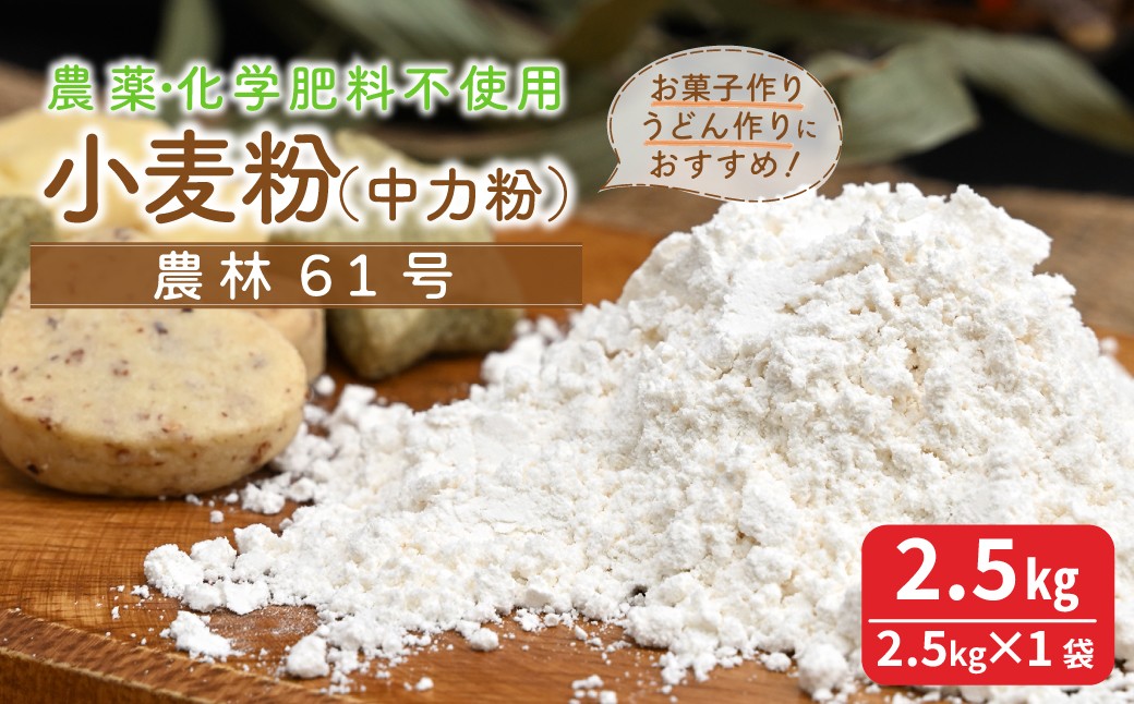 
            【思いやり型返礼品】 小麦粉 農林61号 2.5kg | 小麦粉 小麦 粉 中力粉 国産 うどん お菓子 菓子 お菓子作り 菓子作り 栽培期間中 農薬不使用 化学肥料不使用 就労支援 世界農業遺産 落ち葉堆肥農法 循環型農業 森林循環 森のとうふ屋さん きふと 埼玉県 所沢市
          