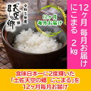 【ふるさと納税】★令和5年産★2010年・2016年 お米日本一コンテスト inしずおか 特別最高金賞受賞 土佐天空の郷　にこまる 2kg　毎月お届け全12回　【定期便・米/にこまる】