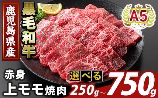 
            K-483 ＜選べる容量＞鹿児島県産A5等級黒毛和牛赤身上モモ焼肉(計250g～750g)【ふるさと産直バザール】霧島市 牛肉 国産 鹿児島県産 モモ 焼肉 肉 精肉
          
