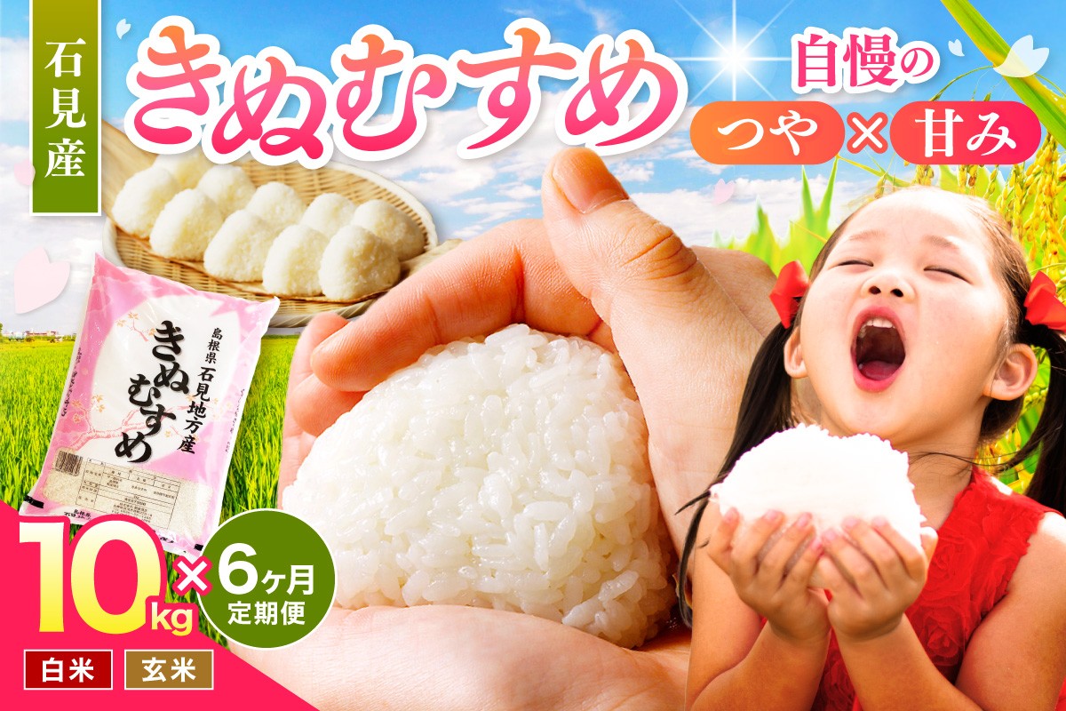
                  【令和7年産】【定期便】石見産きぬむすめ　6ヶ月（10ｋｇ×6回コース） 米 お米 精米 白米 玄米 ごはん お取り寄せ 特産 定期 6回 【058_1854】
                