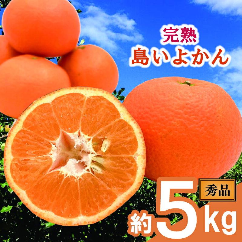 【ふるさと納税】 【先行予約】 完熟島いよかん 秀品 約5kg Lサイズ | 柑橘 いよかん 伊予柑 蜜柑 みかん mikan 果物 フルーツ 甘い ジューシー 春限定 希少品種 国産 産地直送 新鮮 ギフト 家庭用 人気 おすすめ グルメ お取り寄せ 季節限定 愛媛県 松山市 送料無料