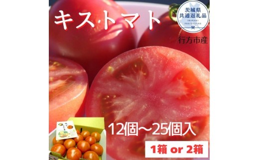 
                  【2026年2月以降発送】キストマト約1～2kg　12個～25個入 1箱 or 2箱（茨城県共通返礼品／行方市産） ／ キストマト トマト フルーツトマト 野菜
                