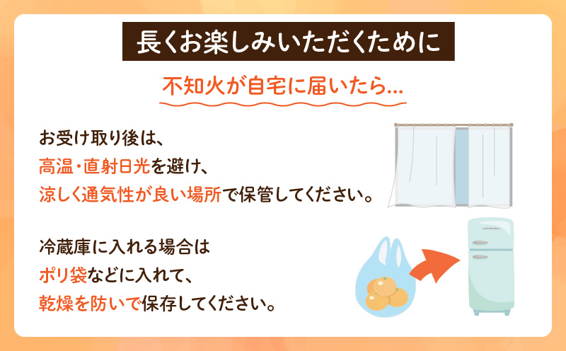 数量限定 不知火 計3kg以上 黒箱 化粧箱入り 果物 フルーツ くだもの 先行予約 2025年 期間限定 デザート おやつ ジュース おすすめ 国産 食品 柑橘 みかん ギフト 贈り物 贈答 ご褒美