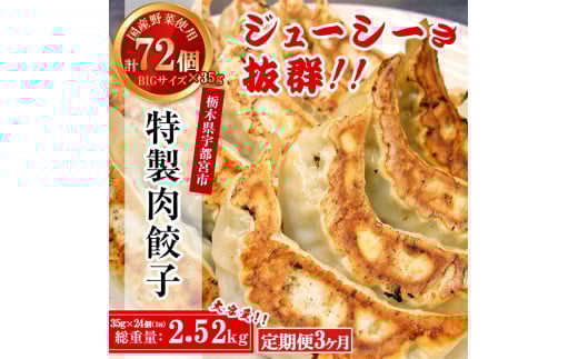 【3ヶ月定期便】 テレビで紹介！餃子専門店 宇都宮 悟空 特製肉餃子24個入×3ヶ月 ｜餃子 冷凍 ぎょうざ ギョーザ 大容量 肉たっぷり 肉多め 大きい 人気 名物 行列 国産野菜 国産豚肉 ジューシー スタミナ パリパリ もちもち グルメ おかず おつまみ  栃木県 簡単 小分け 冷凍食品 定期便 ※離島への配送不可