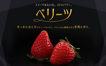 大分県産 ベリーツ　約270g×2パック J1