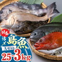 【ふるさと納税】対馬 活〆 島魚セット 2.5〜3kg《対馬市》【対馬地域商社】九州 長崎 鮮魚 [WAC004] 25000 25000円