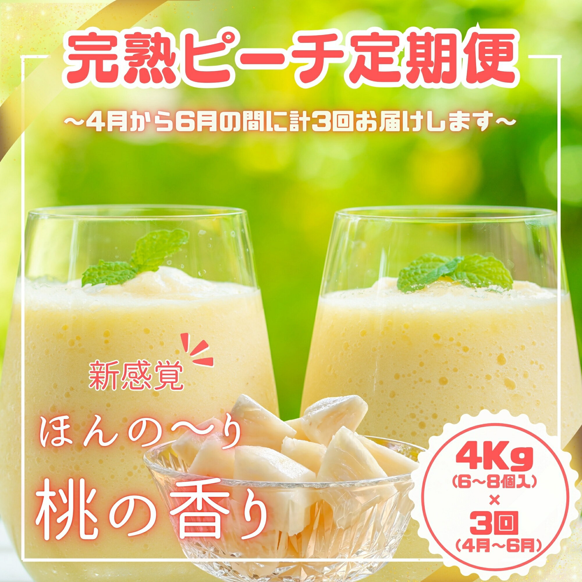 【ふるさと納税】【ピーチ定期便★約4kg×3回】☆新感覚☆ 桃のような芳醇な香りのする『西表島産 完熟ピーチパイン』 【 定期便 竹富町 】 お届け：2025年4月下旬頃から順次発送・6月末頃まで
