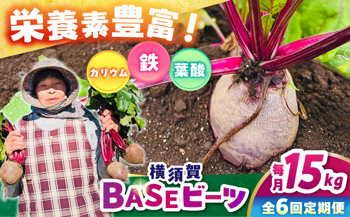 
【全6回定期便】横須賀BASEビーツ 15kg（1kg×15袋）【ゆり子ファーム】 [AKCR015]
