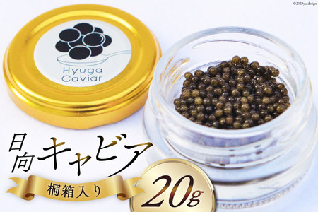 キャビア 日向キャビア (Hyuga Caviar) 20g 桐箱入り  [ウィズ・クリエイティブ  宮崎県 日向市 452060324] 冷凍 宮崎 国産 チョウザメ フレッシュ