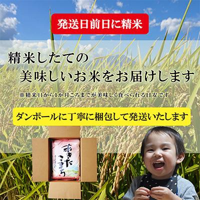 ふるさと納税 盛岡市 【毎月定期便】【6か月】【ひとめぼれ】20kg全6回 |  | 03