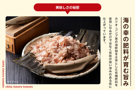 有機栽培ミニトマト　知多アモーレトマト　約2kg