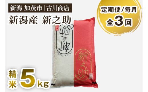 【令和7年産】【定期便3回毎月お届け】新潟の新ブランド米「新之助」精米 5kg 《順次発送》 白米 お米 米 大粒 加茂市 お米の専門店 古川商店 定期便