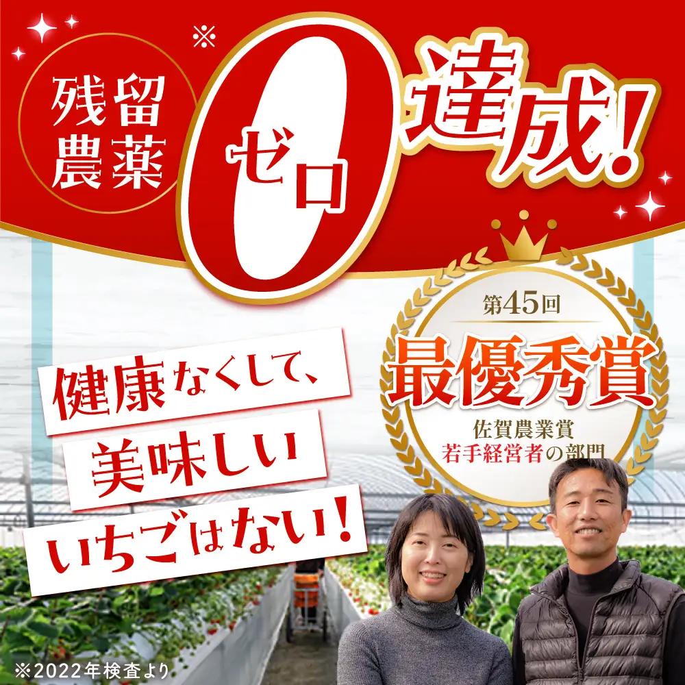 【先行予約】【1?2月発送】王様のいちご（さがほのか）400g HAF014] いちご 果物 フルーツ