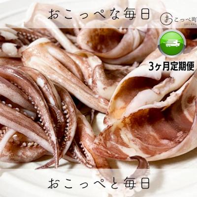 ふるさと納税 興部町 〔ワケあり〕わけあって!イカゲソとイカミミ 隔月3ヶ月定期便【20022】