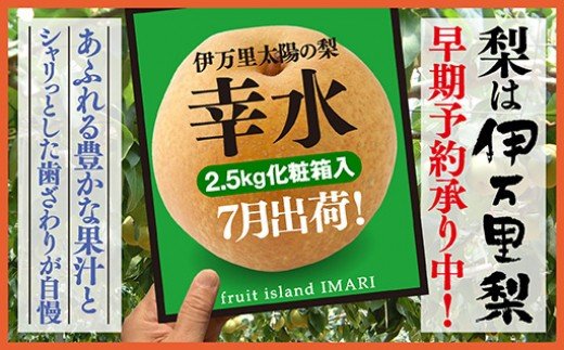 【2025年産先行予約】伊万里梨「幸水」化粧箱入 約2.5kg B159