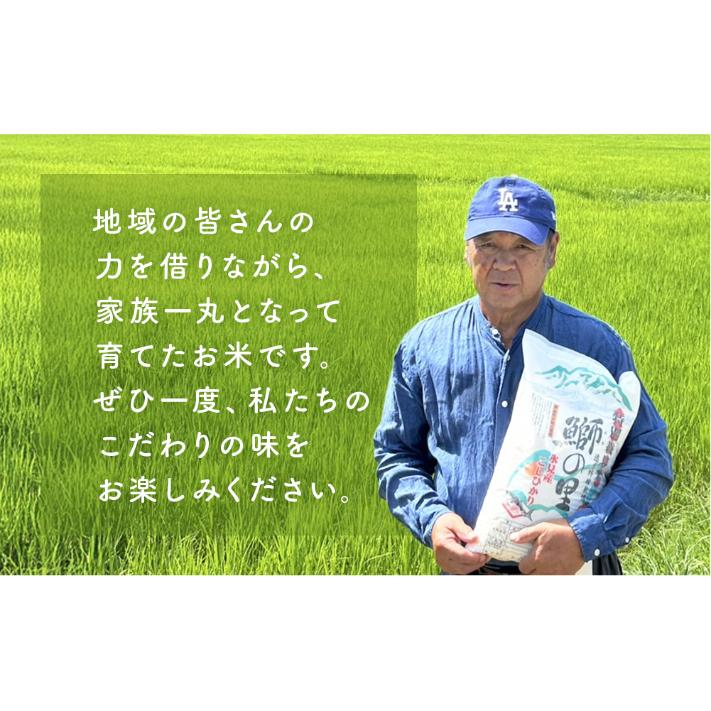 【先行受付】令和7年産 特別栽培米 富山県産コシヒカリ 10kg ＜2025年9月中旬以降順次発送＞ 鰤の里 白米 精米 こしひかり 富山県 氷見市_イメージ3