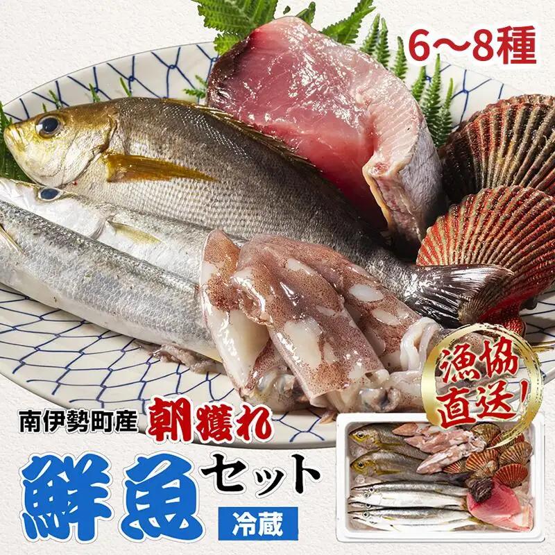 （冷蔵）漁協直送！　南伊勢町産　6～8種　朝獲れ鮮魚セット／三重外湾漁業協同組合　お刺身　新鮮　詰合せ　おいしい　とれたて　旬　三重県　伊勢志摩