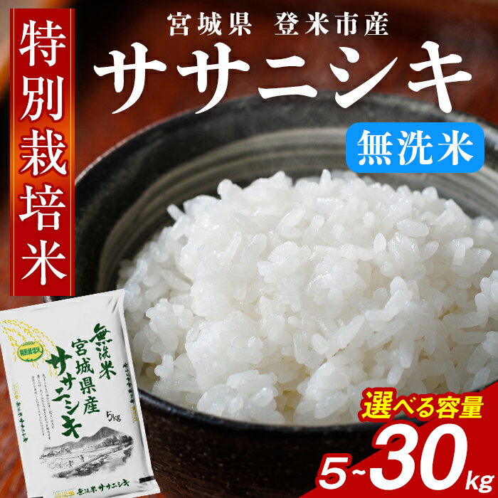 【ふるさと納税】＜令和8年度産＞≪特別栽培米≫ ササニシキ 無洗米 5kg～30kg 選べる容量 和紙袋仕様 お米 おこめ 米 コメ 白米 ご飯 ごはん おにぎり お弁当 10kg 20kg【ライス宮城株式会社】tm615・tm616・tm617・tm618
