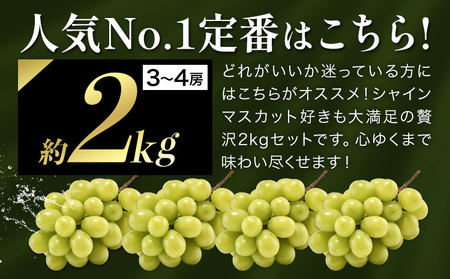 シャインマスカット 約2kg ｼｬｲﾝﾏｽｶｯﾄ