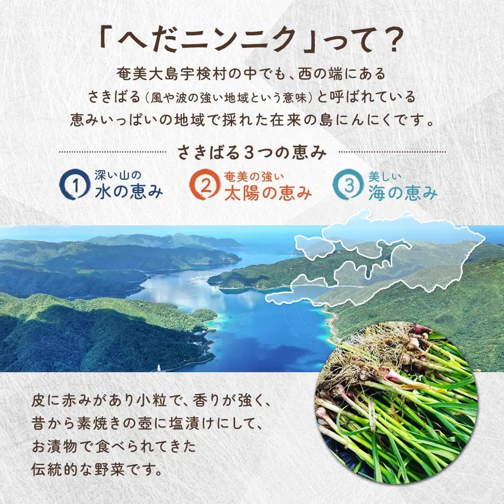 【先行予約】【2026年5～6月頃順次発送予定】ざくざく島ニンニク 油漬け 無農薬 辛口 スタミナ 国産 宇検村 数量限定 期間限定 奄美大島 鹿児島県 送料無料