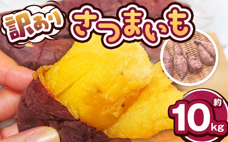 【先行予約】訳あり下野市産さつまいも 10kg  | さつまいも 芋 訳あり さつまいもご飯 炊き込みご飯 スイートポテト 大学芋 栗きんとん 秋 さつまいも 秋の味覚 栃木県 下野市 しもつけ市