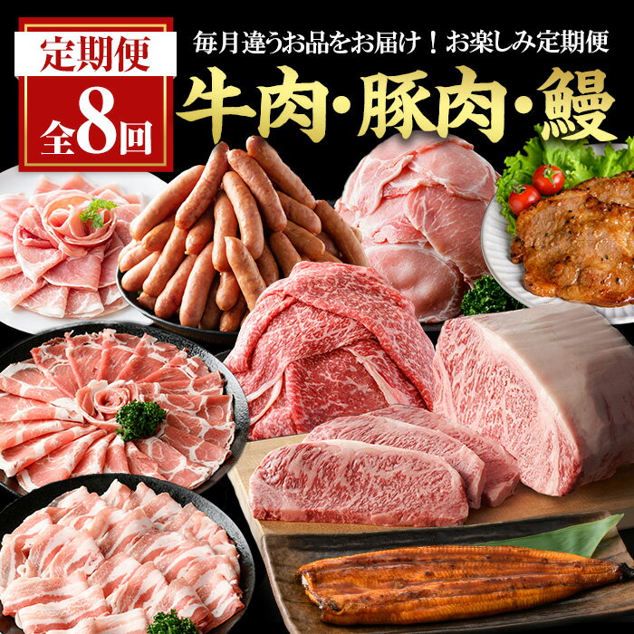 【ふるさと納税】＼レビューキャンペーン実施中！／【全8回定期便】＜毎月違うお品をお届け！＞お楽しみ定期便 (合計4.8kg以上) 豚肉 牛肉 黒毛和牛 ステーキ スライス すき焼き 味噌だれ 肉 定期便 8回 ロース 生姜焼き 柚子胡椒 国産 鹿児島 鰻【ナンチク・西日本養鰻】