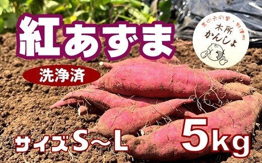 
                  《先行予約》ホクホク甘い 木所かんしょ（紅あずま）５㎏【栽培期間中化成肥料不使用】洗浄済 令和8年産 さつまいも
                