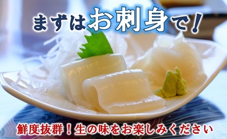 三陸水産 冷凍スルメイカ 約2kg （約1kg×2袋） イカ 刺身 いかの塩辛 いかめし いかげそ イカ焼き フライ いかソーメン 新鮮 海産物 魚介 使いやすい 便利