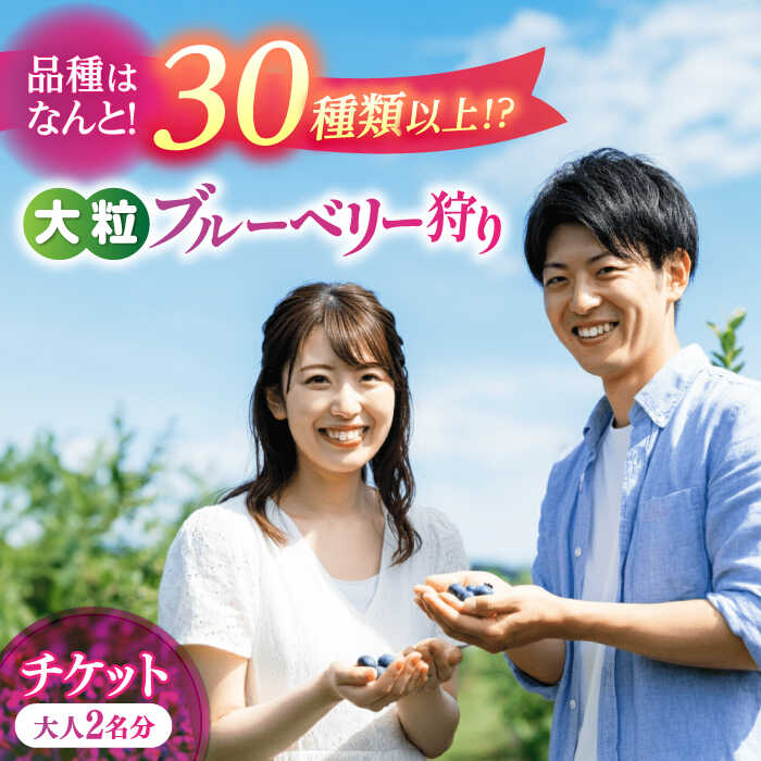【ふるさと納税】ブルーベリー狩り チケット 大人2人分 80分間食べ放題 中学生以上 狩り 体験 ブルーベリー 愛西市 / あいさいベリーLABO[AEBZ008]
