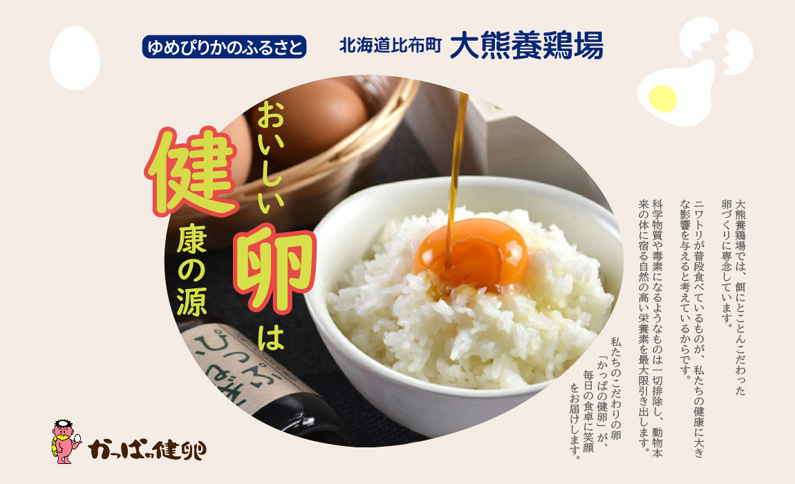 
            大熊養鶏場　かっぱの健卵　15個入り
          