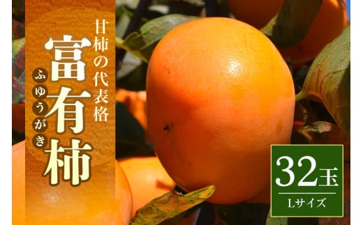 【2025年 先行予約】富有柿 L 32玉（三浦果樹園） 柿 甘い柿 かき 富有カキ 甘い 果物 フルーツ くだもの カキ 富有かき 秋 旬 甘柿 糖度 贈答用 贈答品 ギフト 贈り物 品種 ブランド 11月 発送 産地直送 農家直送 産直 茨城県 石岡市 (A16-006)