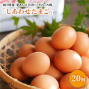 【ふるさと納税】【大切な人への贈り物に】平飼い「しあわせたまご」20個＜松本養鶏場＞ [CCD026] 卵 たまご 20個