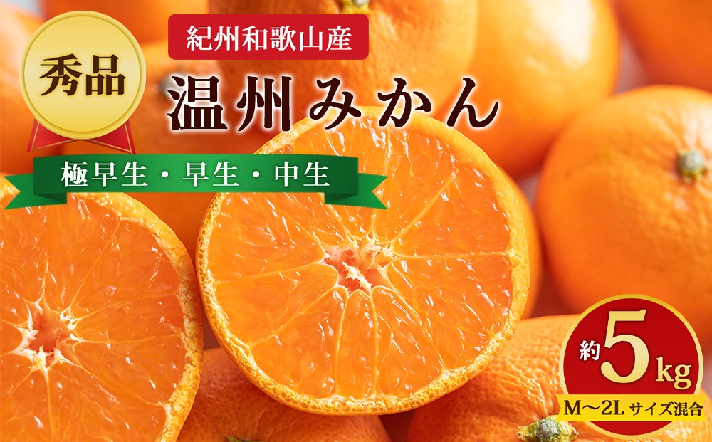 
                  【先行予約】【秀品】紀州和歌山産 温州みかん 約5kg（箱込み） M～2L サイズ混合（極早生・早生・中生）
                