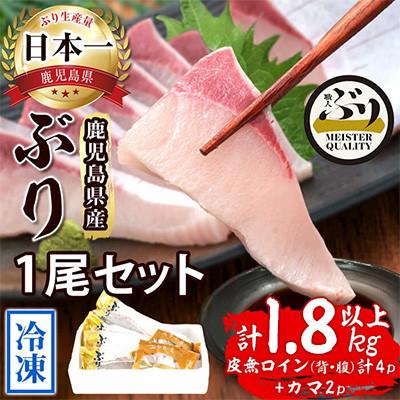 ふるさと納税 垂水市 【鹿児島産】冷凍ぶり 1尾セット(皮無ロイン背腹計4p、カマ2p)【アクアブルー】