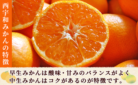 ＜西予市産 温州みかん 秀品 約5kg＞ 蜜柑 ミカン みかん 果物 フルーツ 柑橘 国産 愛媛県産 サイズおまかせ 5キロ うんしゅうみかん ウンシュウミカン 特産品 丸二青果 愛媛県 西予市【常温