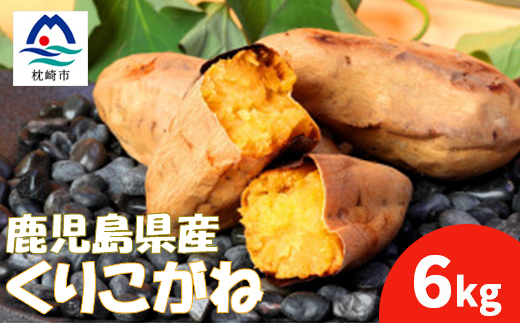 本場鹿児島さつまいも【くりこがね】6kg　2025年10月上旬より発送A3-57【配送不可地域：離島】