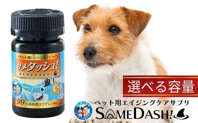 
                  ペット用 サプリメント サメダッシュ！  【選べる容量　60粒・180粒・360粒】 ペット用 エイジングケア スクアレン 99％以上配合 サプリ ペット 犬 猫 サメダッシュ 高純度 高品質 国内 工場 安心 安全 着色料 添加物 香料 保存料 不使用 研究者 開発 安心設計 人気 シニア犬 毛並み 健康維持 贈答 送料無料 ふるさと納税ペット ふるさと納税 千葉県銚子市 日誠マリン工業株式会社
                