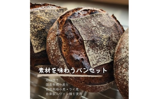 【国産有機小麦と自然栽培小麦・ライ麦使用】素材を味わうパンセット ／ パン 国産小麦 自然栽培 小麦 ライ麦 天然酵母 ルヴァン種 国産素材 自家製粉 自家製ルヴァン種 パンセット 詰め合わせ 食べ比べ お取り寄せグルメ 大阪府 No.348