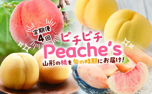 【定期便4回】ピチピチPeache's 【令和7年産先行予約】FS24-742